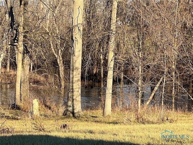 view of local wilderness with a water view