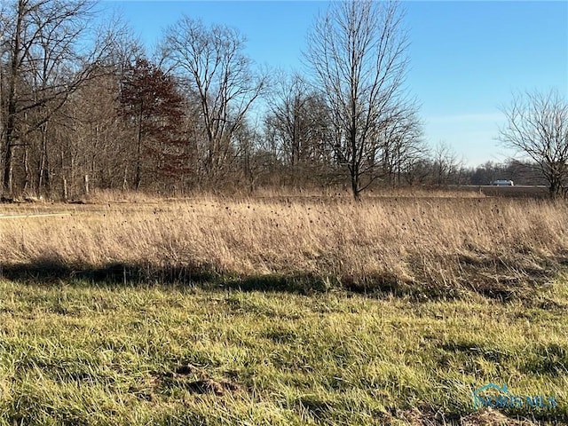 view of landscape with a rural view