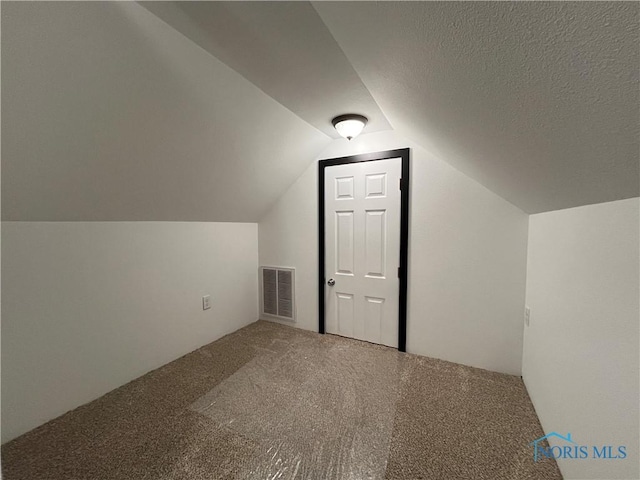 additional living space featuring carpet, a textured ceiling, and vaulted ceiling