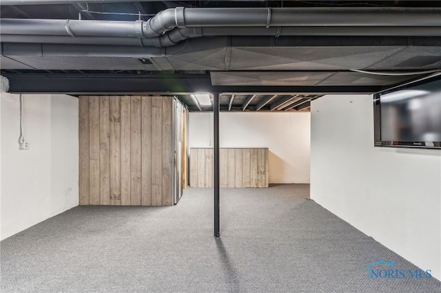 basement featuring carpet flooring