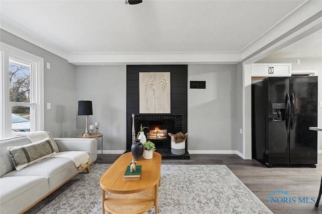 living room featuring a fireplace, wood-type flooring, and crown molding