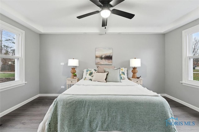 bedroom featuring multiple windows, a tray ceiling, ceiling fan, and dark wood-type flooring