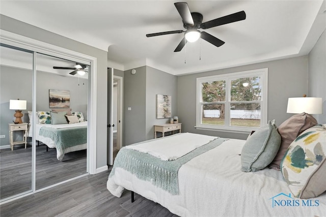 bedroom featuring ceiling fan, a closet, and wood-type flooring