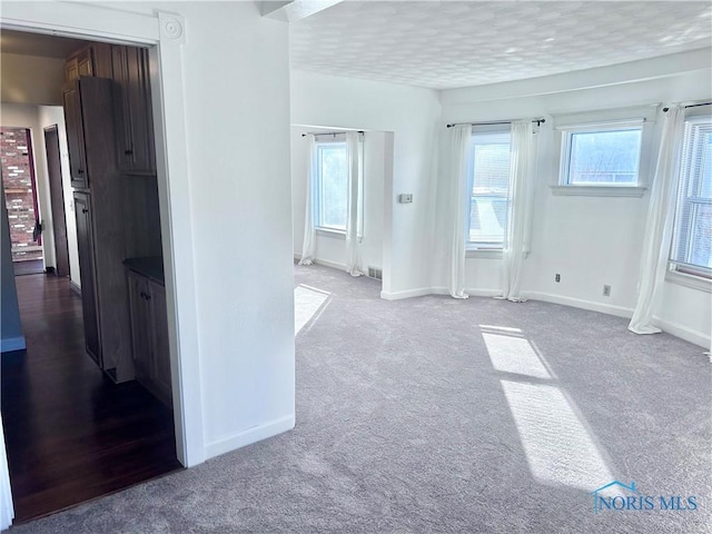 unfurnished room with carpet flooring and a textured ceiling