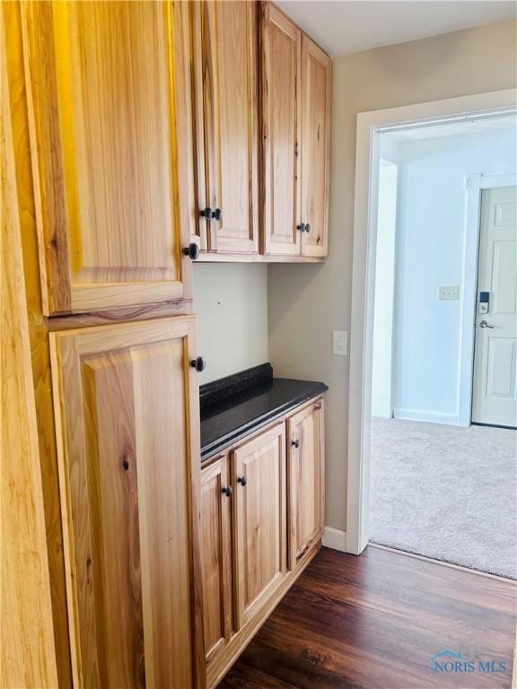 interior space with dark colored carpet and light brown cabinetry