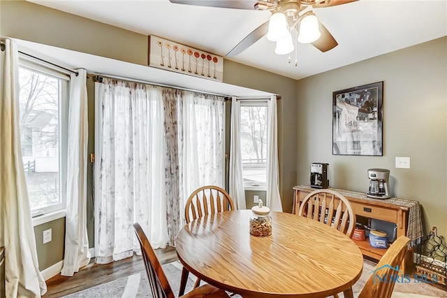 dining room featuring hardwood / wood-style floors and ceiling fan