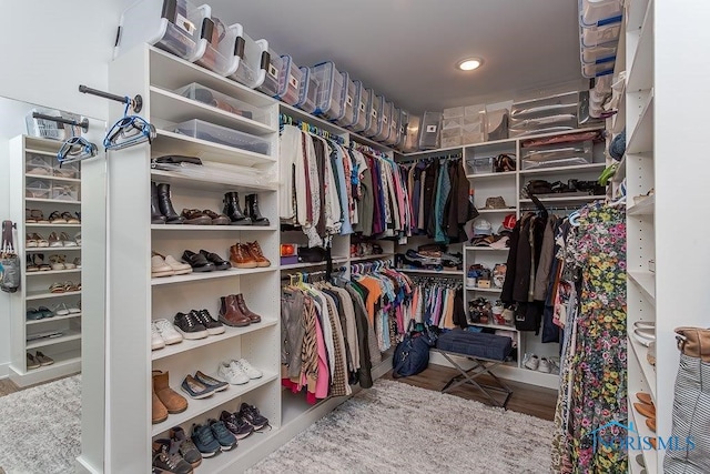 spacious closet with light wood-type flooring