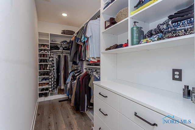 walk in closet with wood-type flooring