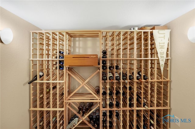 view of wine cellar