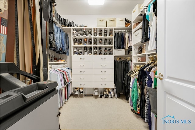 spacious closet with carpet