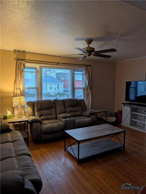 living room featuring ceiling fan and hardwood / wood-style flooring