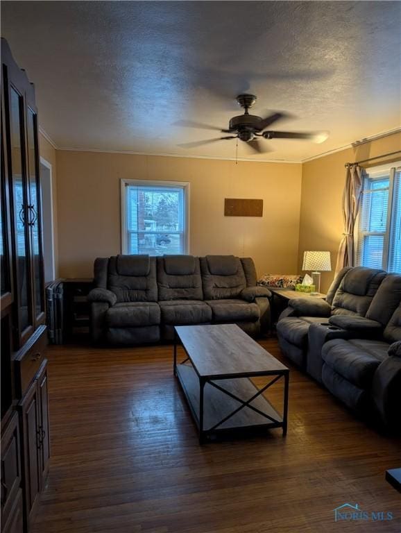 living room with a textured ceiling, a wealth of natural light, dark wood-type flooring, and ceiling fan