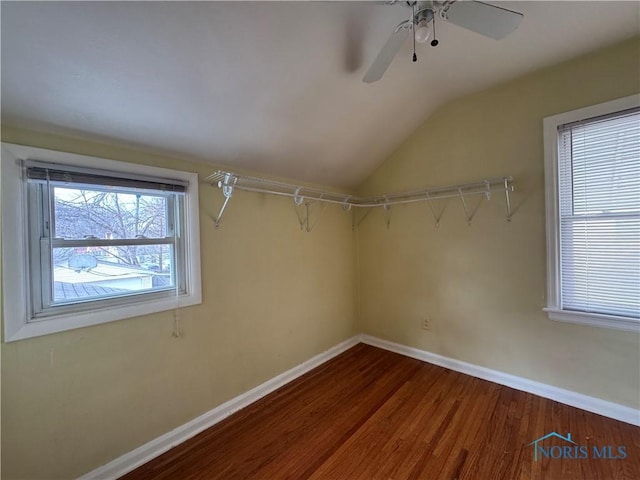 spacious closet featuring ceiling fan, wood-type flooring, and vaulted ceiling