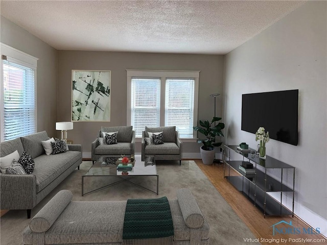 living room featuring wood-type flooring and a textured ceiling