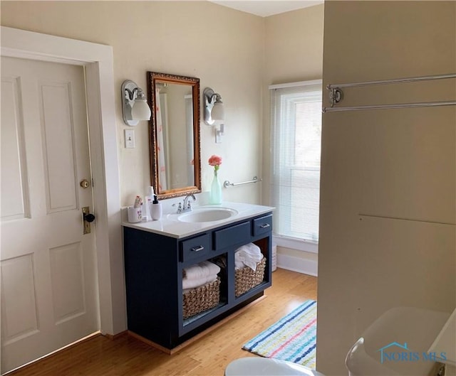 bathroom with wood-type flooring and vanity