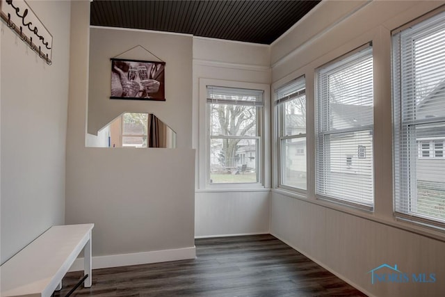 interior space featuring dark hardwood / wood-style flooring and a healthy amount of sunlight