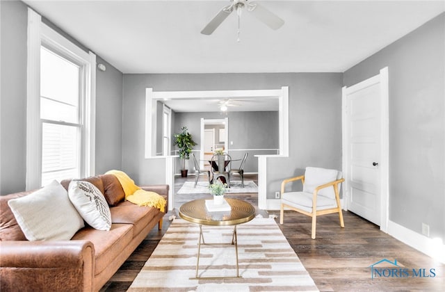 living room with dark hardwood / wood-style flooring