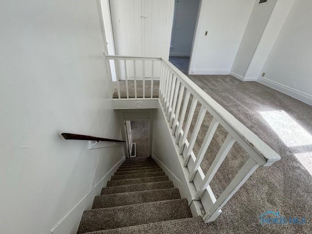 staircase with carpet