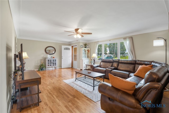 living room with ceiling fan, light hardwood / wood-style flooring, and crown molding