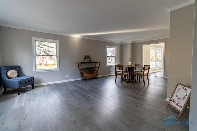 dining space featuring hardwood / wood-style floors