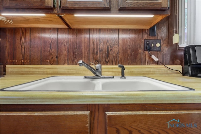 interior details with sink and wooden walls