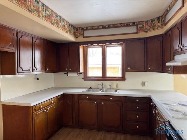 kitchen featuring wall oven, white cooktop, dark wood-type flooring, and sink