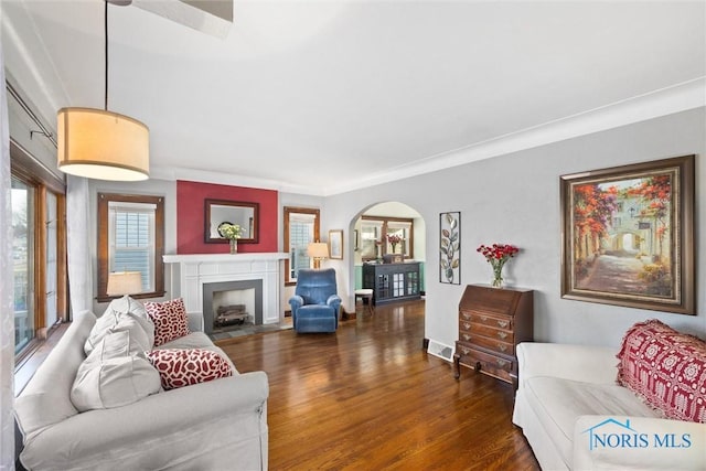 living room featuring dark wood-type flooring and ornamental molding