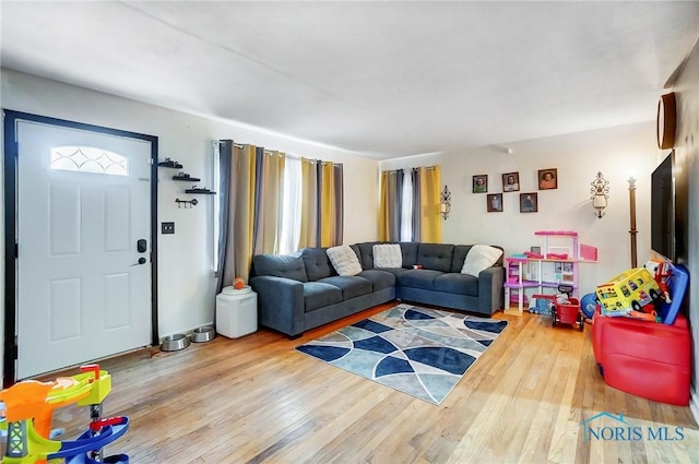 living room with hardwood / wood-style floors