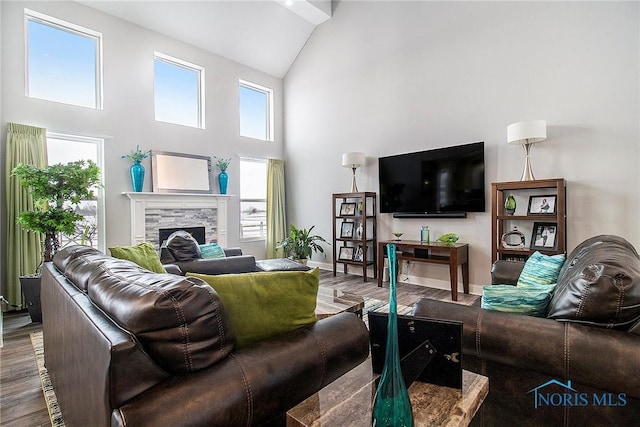 living room with wood-type flooring and high vaulted ceiling