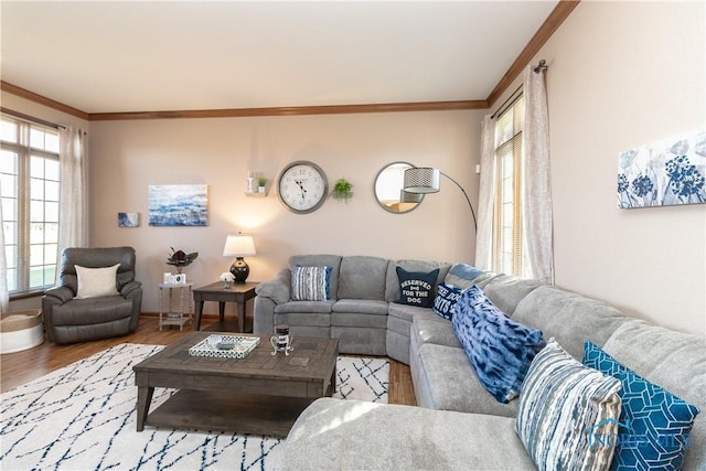 living room featuring hardwood / wood-style floors and ornamental molding