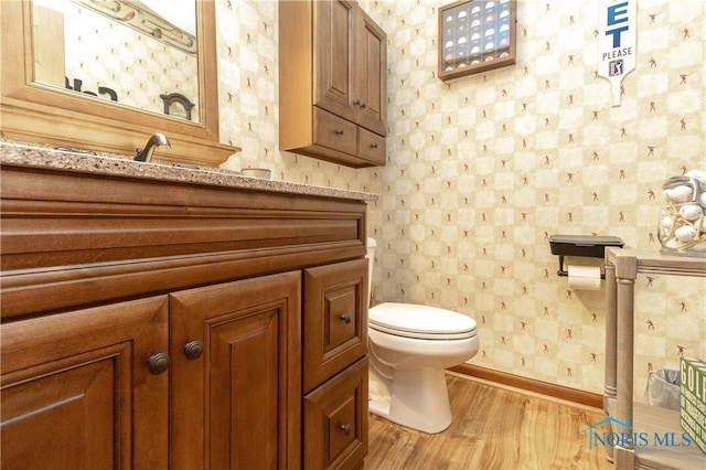 bathroom featuring hardwood / wood-style flooring, vanity, and toilet