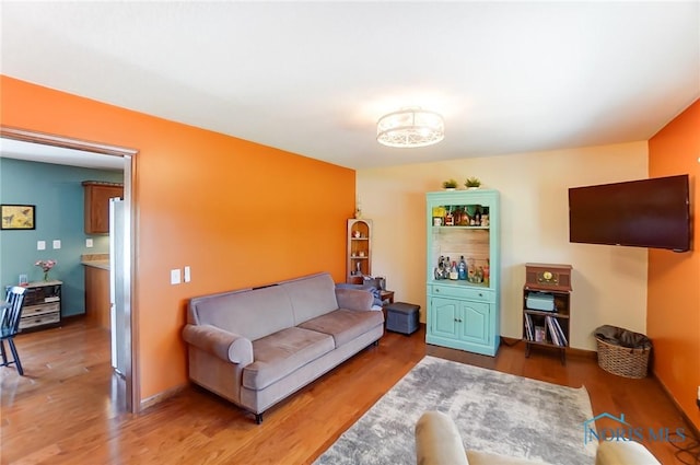 living room featuring wood-type flooring