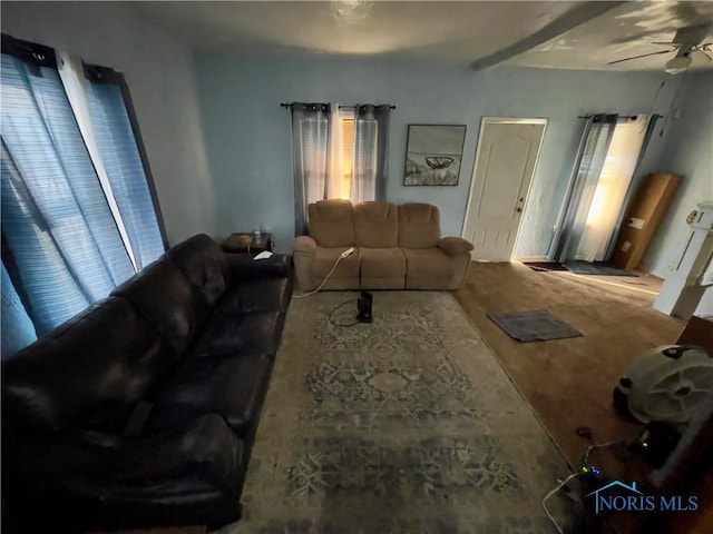 421 Spencer St, Toledo, OH 43609 - photo 2