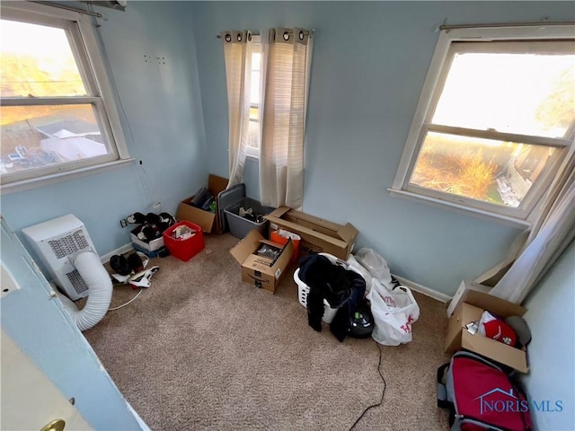 miscellaneous room with carpet