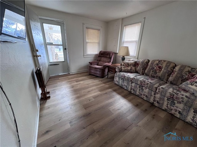 living room with a wealth of natural light and light hardwood / wood-style flooring