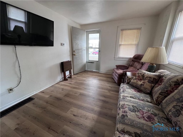 living room with hardwood / wood-style floors