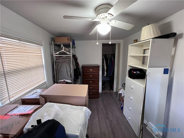 spacious closet featuring ceiling fan and dark hardwood / wood-style floors