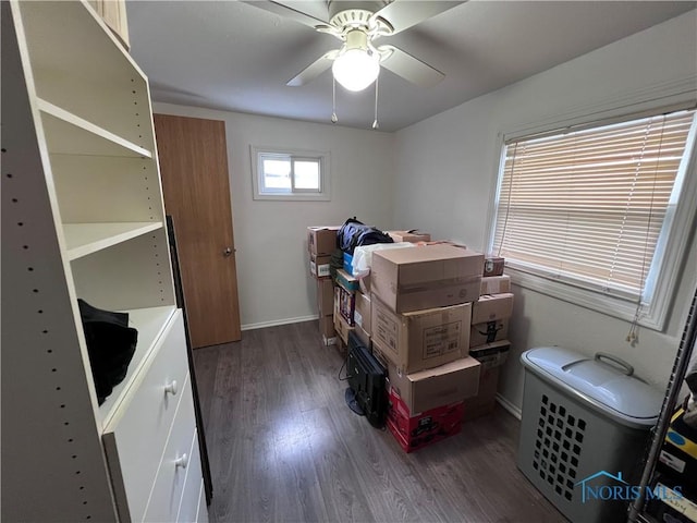 storage room with ceiling fan