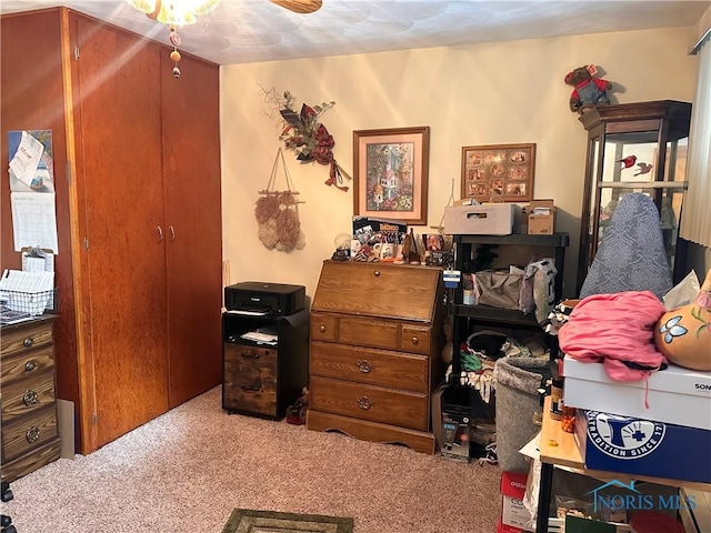 bedroom with carpet flooring