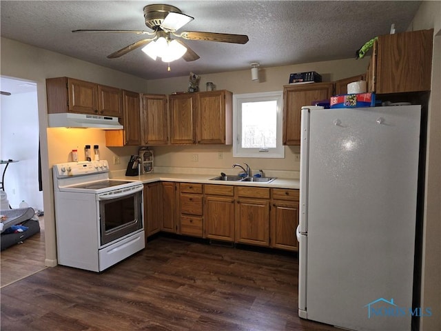 kitchen featuring a textured ceiling, white appliances, ceiling fan, dark wood-type flooring, and sink