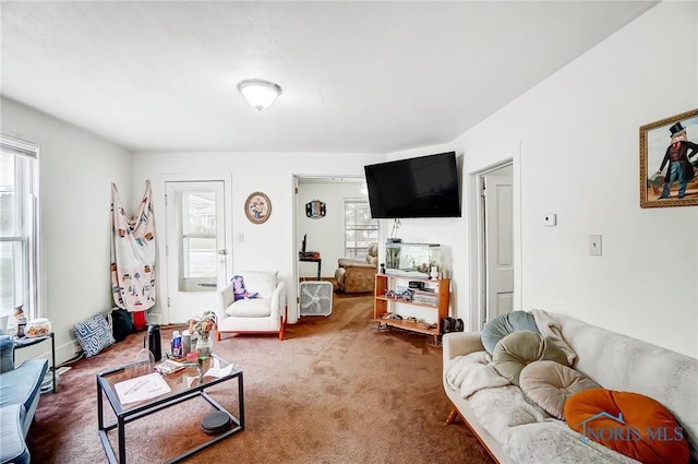 view of carpeted living room