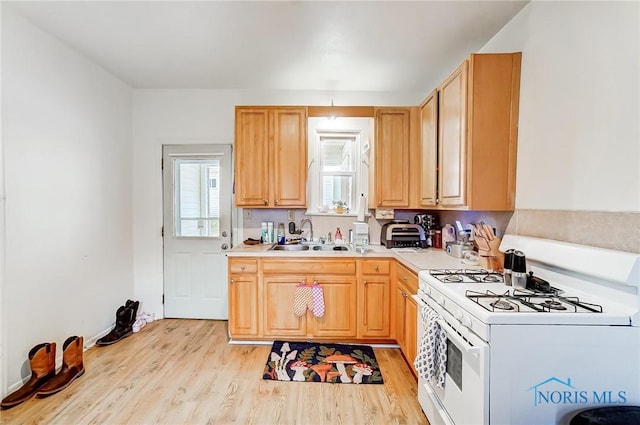 kitchen featuring light brown cabinetry, sink, light wood-type flooring, and white gas range oven