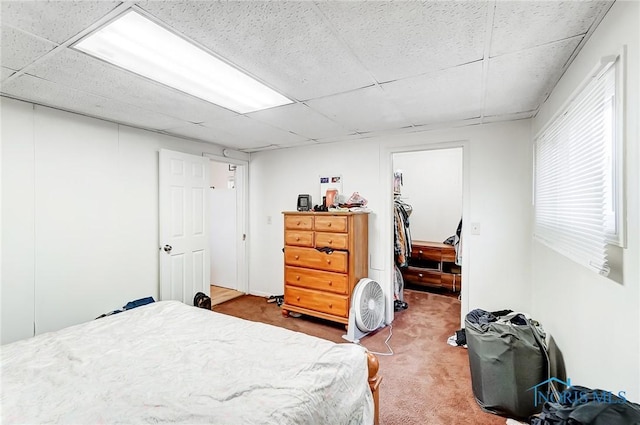 bedroom with carpet flooring, a paneled ceiling, and a closet