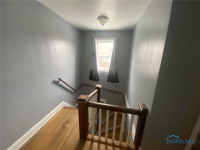 stairs with wood-type flooring