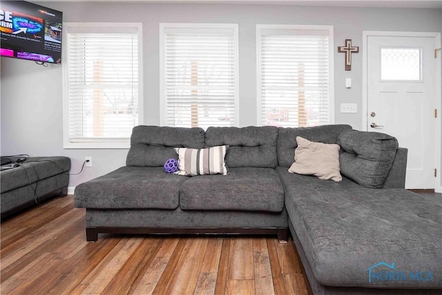 living room featuring hardwood / wood-style flooring