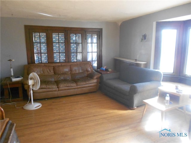 living room featuring light hardwood / wood-style floors