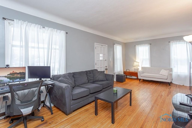 living room featuring light hardwood / wood-style flooring