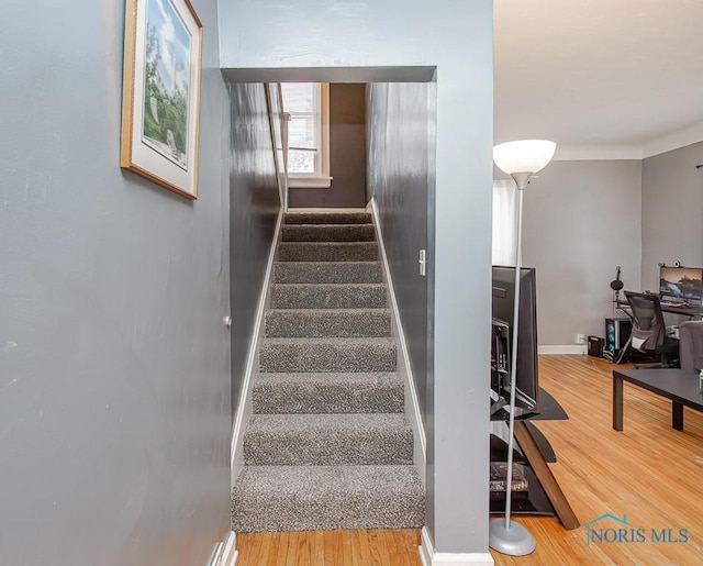 stairway with hardwood / wood-style floors