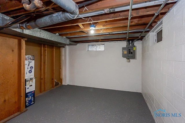 basement with electric panel