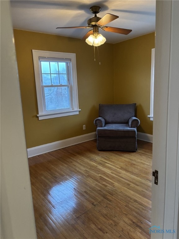 unfurnished room with wood-type flooring and ceiling fan